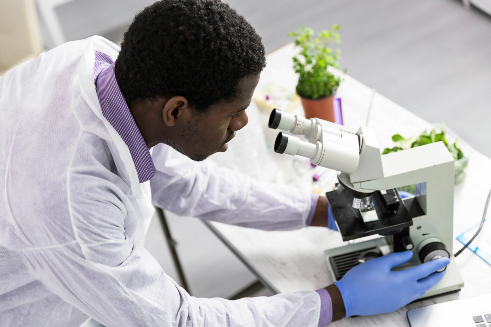 Job Opportunities For Microbiologists In Nigeria